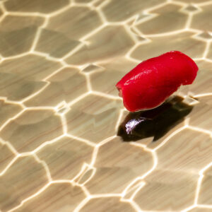 寿司店舗デザイン